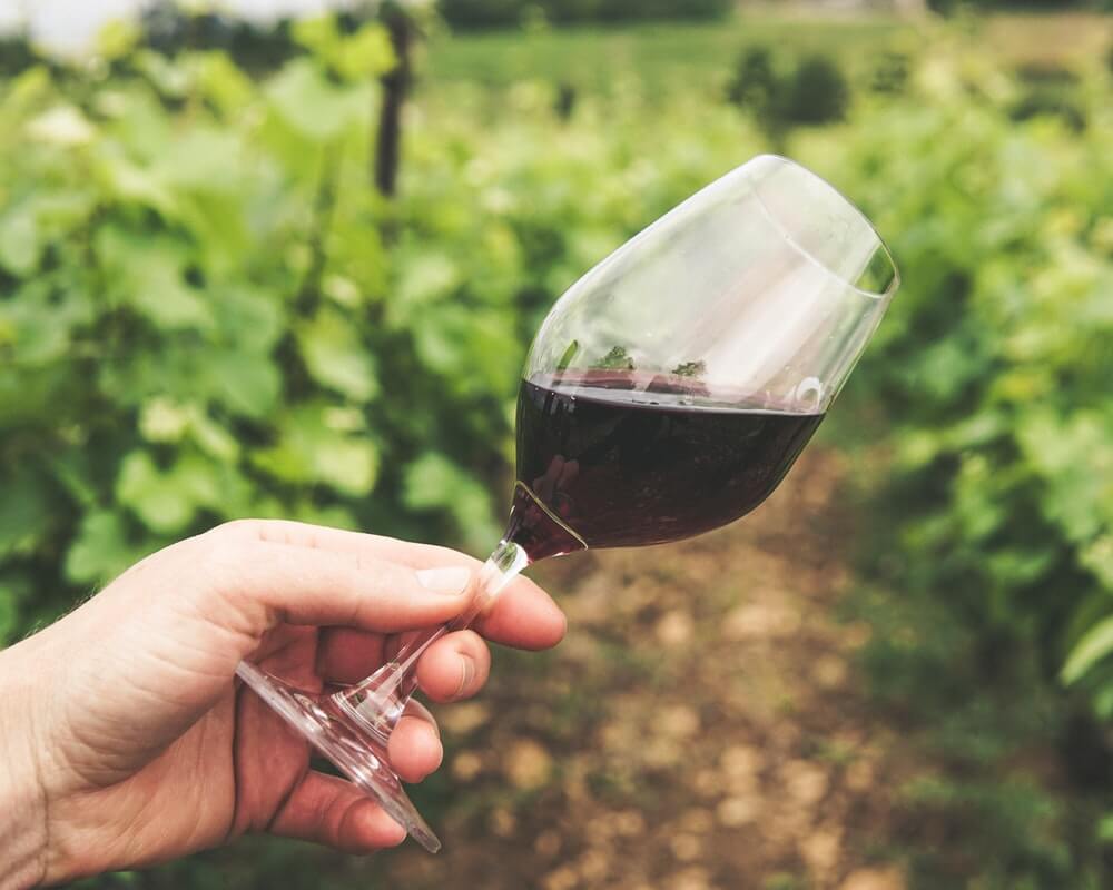 Tragom vina – vinarije u okolini Niša koje vredi posetiti